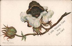 A Little Alabama Coon From Dixie Land Postcard