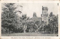 Buena Vista Castle - Residence of H. Cailleand Postcard