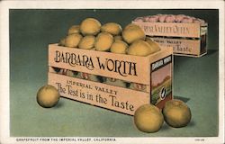 Grapefruit from the Imperial Valley Barbara Worth Postcard