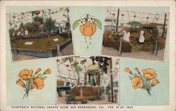 Thirteenth National Orange Show, 1923 San Bernardino, CA Postcard Postcard Postcard