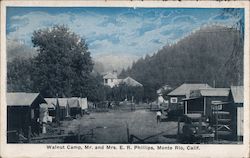 Walnut Camp, Mr. and Mrs. E.R. Phillips Postcard