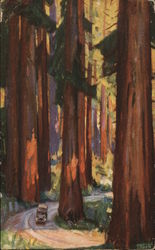 Redwood Empire Tour. Rail and auto tour of Northern California redwoods. Postcard