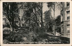 Glimpse of Seven Acre Franklin Hospital Park Postcard