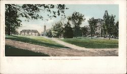 The Campus, Cornell University Postcard