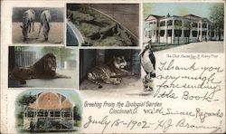 Greetings form the Zoological Garden Cincinnati, OH Postcard Postcard Postcard