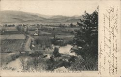 Birds Eye View Postcard