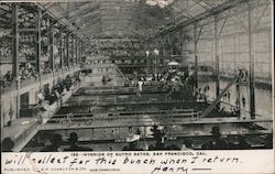 Interior of Sutro Baths San Francisco, CA Postcard Postcard Postcard