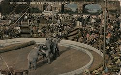 The Circus, Luna Park Postcard