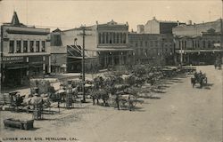 Lower Main Str. Petaluma, CA Postcard Postcard Postcard