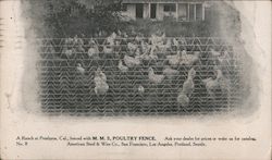 Ranch fenced with M.M.S. Poultry Fence Postcard