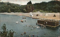 Bathing at Eagle Nest Postcard