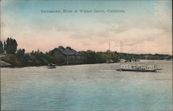 Sacramento River Walnut Grove, CA Postcard Postcard Postcard