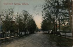 Cedar Street Calistoga, CA Postcard Postcard Postcard