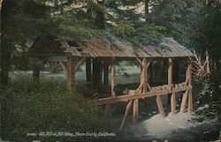 Old Mill, Marin County Postcard