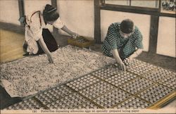 Butterflies depositing silkworm eggs on specially prepared laying paper Postcard