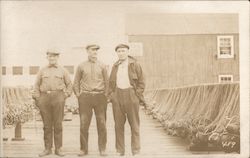 Three men on a pier Postcard