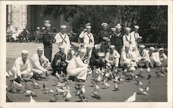 Group of Navy Sailors and Pigeons Postcard