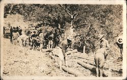 WWI Army troops working with logs World War I Postcard Postcard Postcard