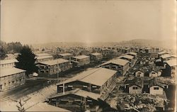 View of Camp Lewis Tacoma, WA Postcard Postcard Postcard