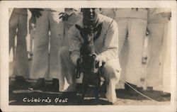 Culebra's Goat Postcard