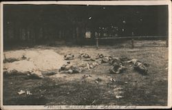 Men Killed by Shell Fire World War I Postcard Postcard Postcard