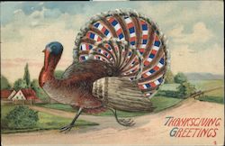 Thanksgiving Greetings Turkeys Postcard Postcard Postcard