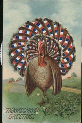 Thanksgiving Greetings Turkeys Postcard Postcard Postcard