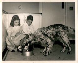 Boy and Girl Feeding Dog Dogs Original Photograph Original Photograph Original Photograph