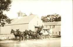 Mule-drawn carriage with drivers and passengers Postcard