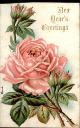 New Year's Greetings Postcard