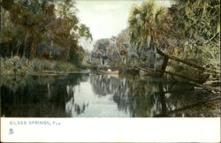 Silver Springs, Fla Postcard