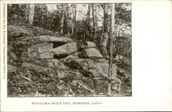 Putnam's Wolf Den Pomfret, CT Postcard Postcard Postcard