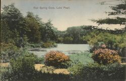 Red Spring Cove, Lake Pearl Wrentham, MA Postcard Postcard Postcard