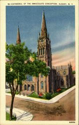 Cathedral Of The Immaculate Conception Albany, NY Postcard Postcard