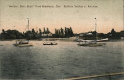 Harbor, East Side - Buffalo Yachts at Anchor Postcard