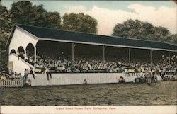 Grand Stand, Forest Park Postcard