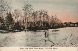 Along the Bitter Root River Postcard