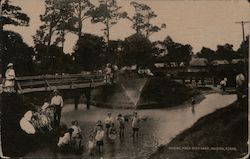 Wading Pond, City Park Postcard