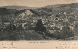 Bird's-Eye View Postcard