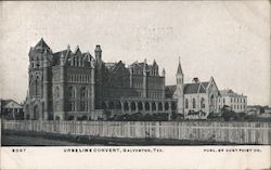 Urseline Convent Postcard