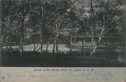 Sylvan Lake, Forest Park Postcard