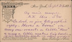 Dan Talmage's Sons Rice New York, NY Postcard Postcard Postcard