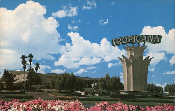 The Tropicana Hotel Las Vegas, NV Postcard