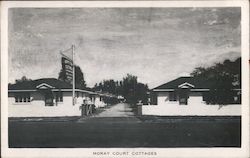 Moray Court Cottages St. Petersburg, FL Postcard Postcard Postcard