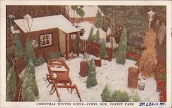 Christmas Winter Scene-Jewel Box Forest Park Postcard