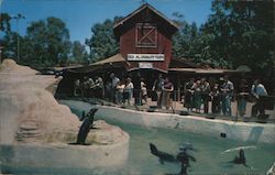 The Seal Pool and Old Mac Donald's Farm Buena Park, CA Postcard Postcard Postcard