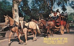 Stage Coach - Knott's Berry Farm & Ghost Town Buena Park, CA Postcard Postcard Postcard