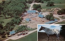 Tyson Ranch Postcard