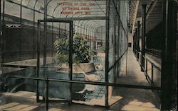 Interior of the Zoo at Swope Park Postcard