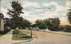 Pergola on the Paseo Postcard